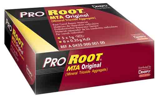 Pro Root MTA